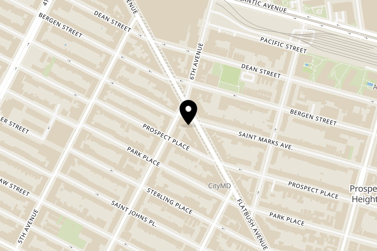 Map showing the location of Pies 'n' Thighs Park Slope on 244 Flatbush Ave in Brooklyn